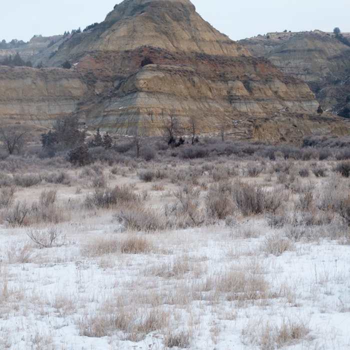 Near Bennett-Cottonwood Loop via Maah Daah Hey Trail
