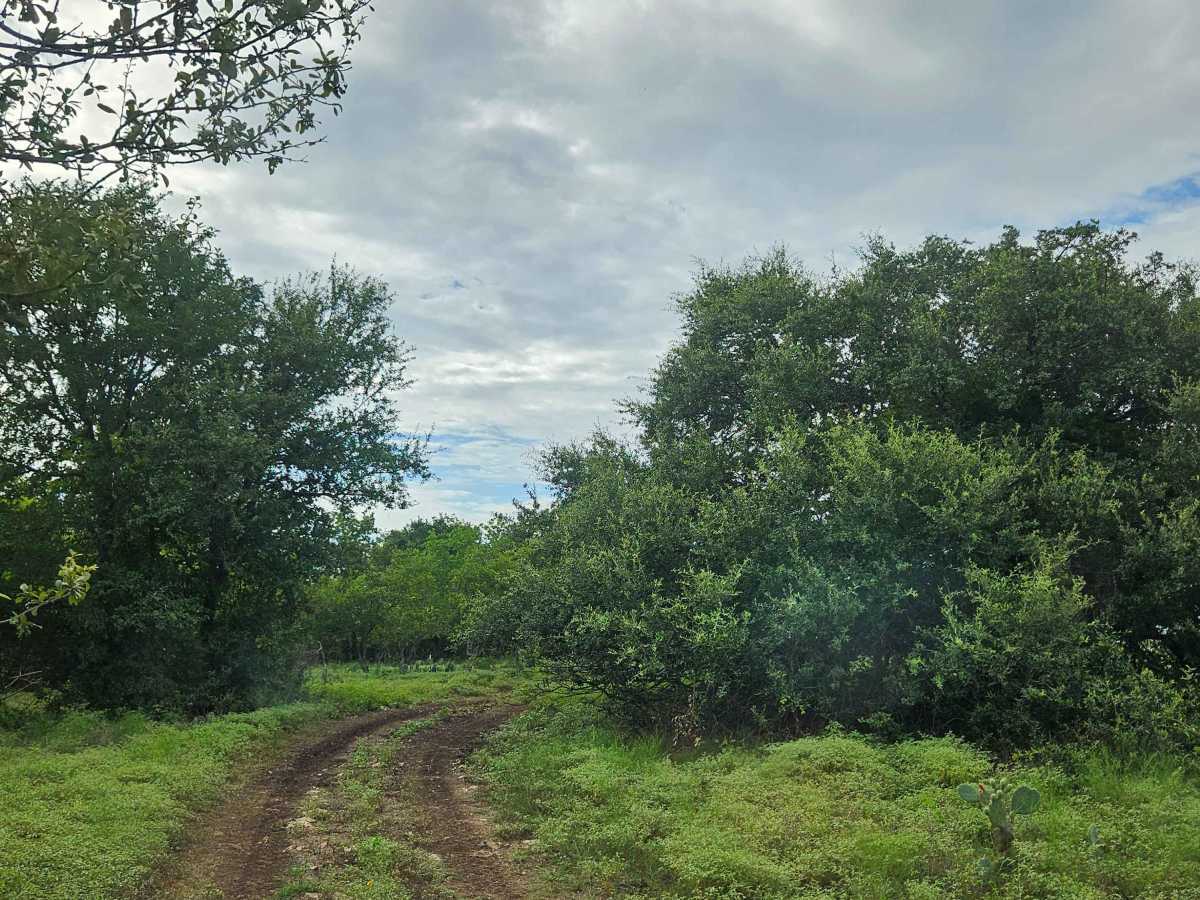 Peacemaker trail photo