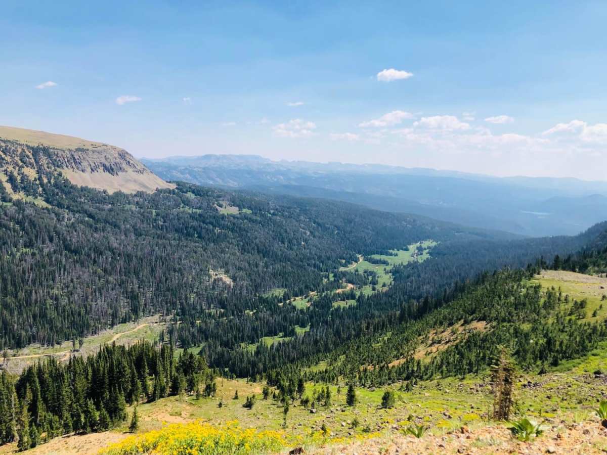 Henderson Mountain Road photo 6
