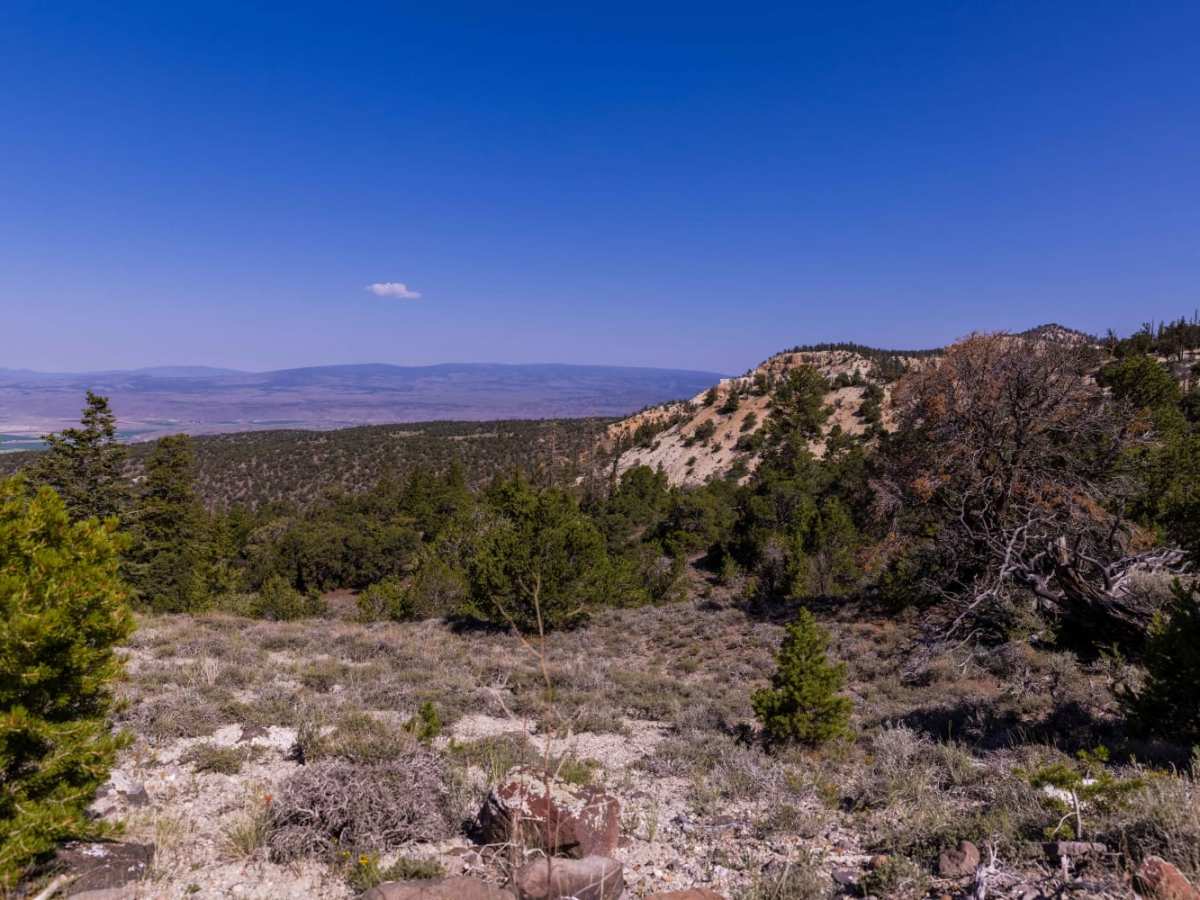 Deep Creek Trail photo 6