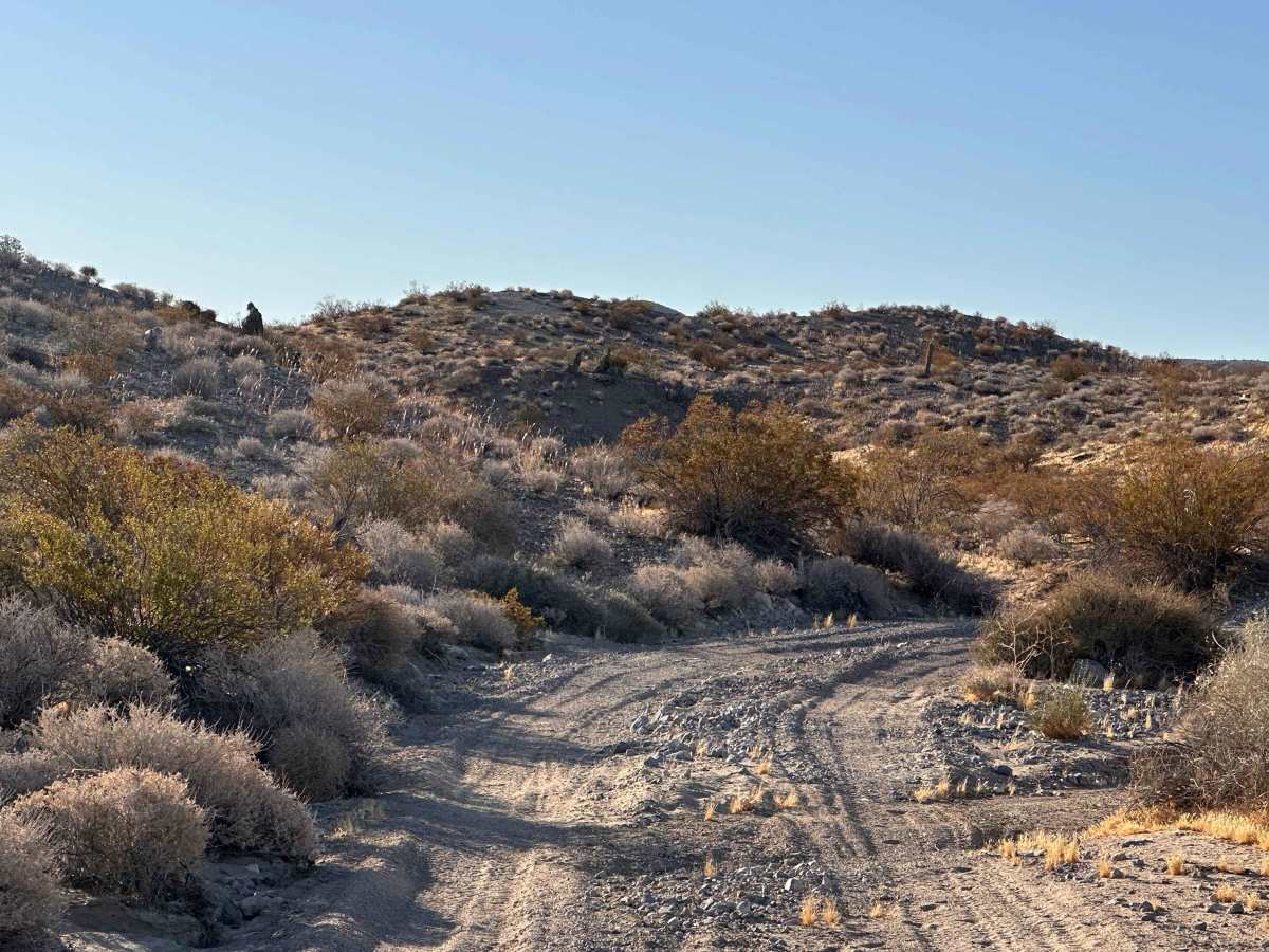 Wild Horse Trail photo 4
