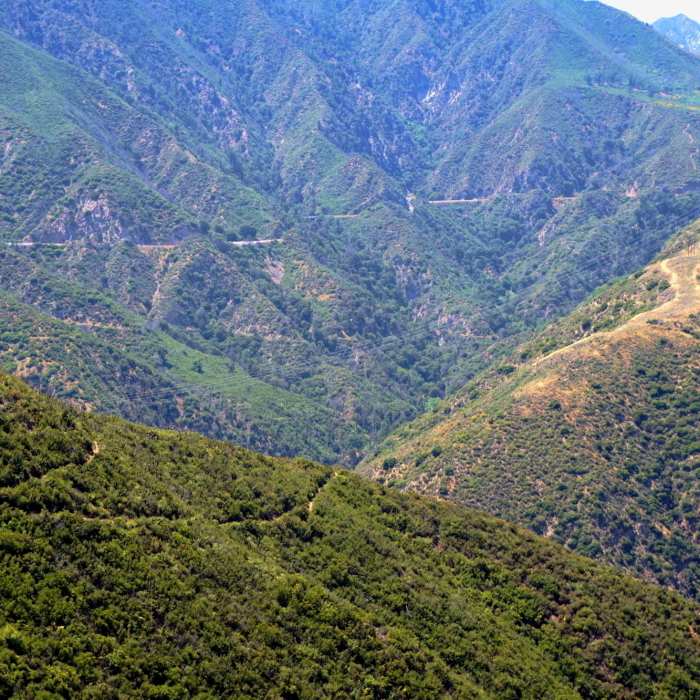 Near Oakwilde Trail Camp