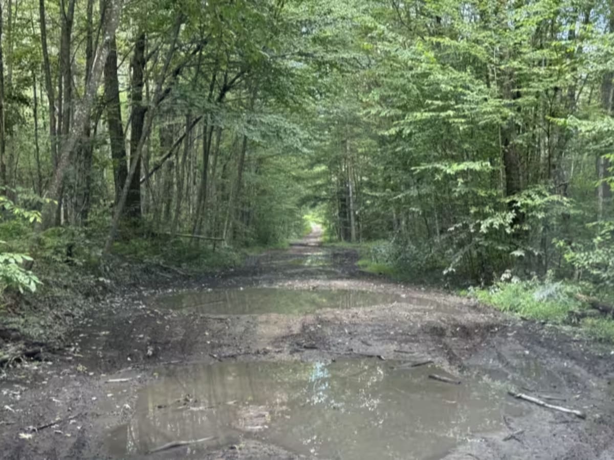 Beech Creek Access  photo 6