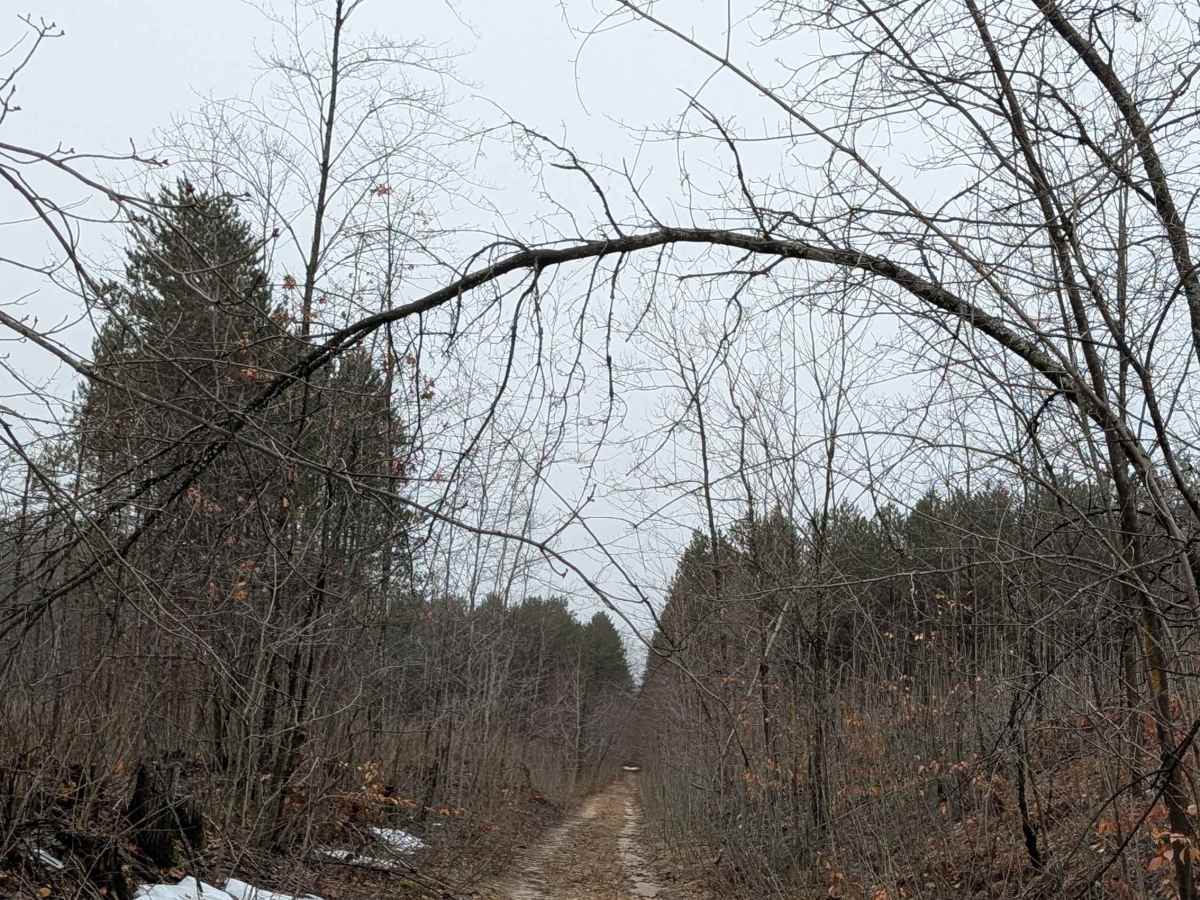 Muskrat Rd SE photo 2