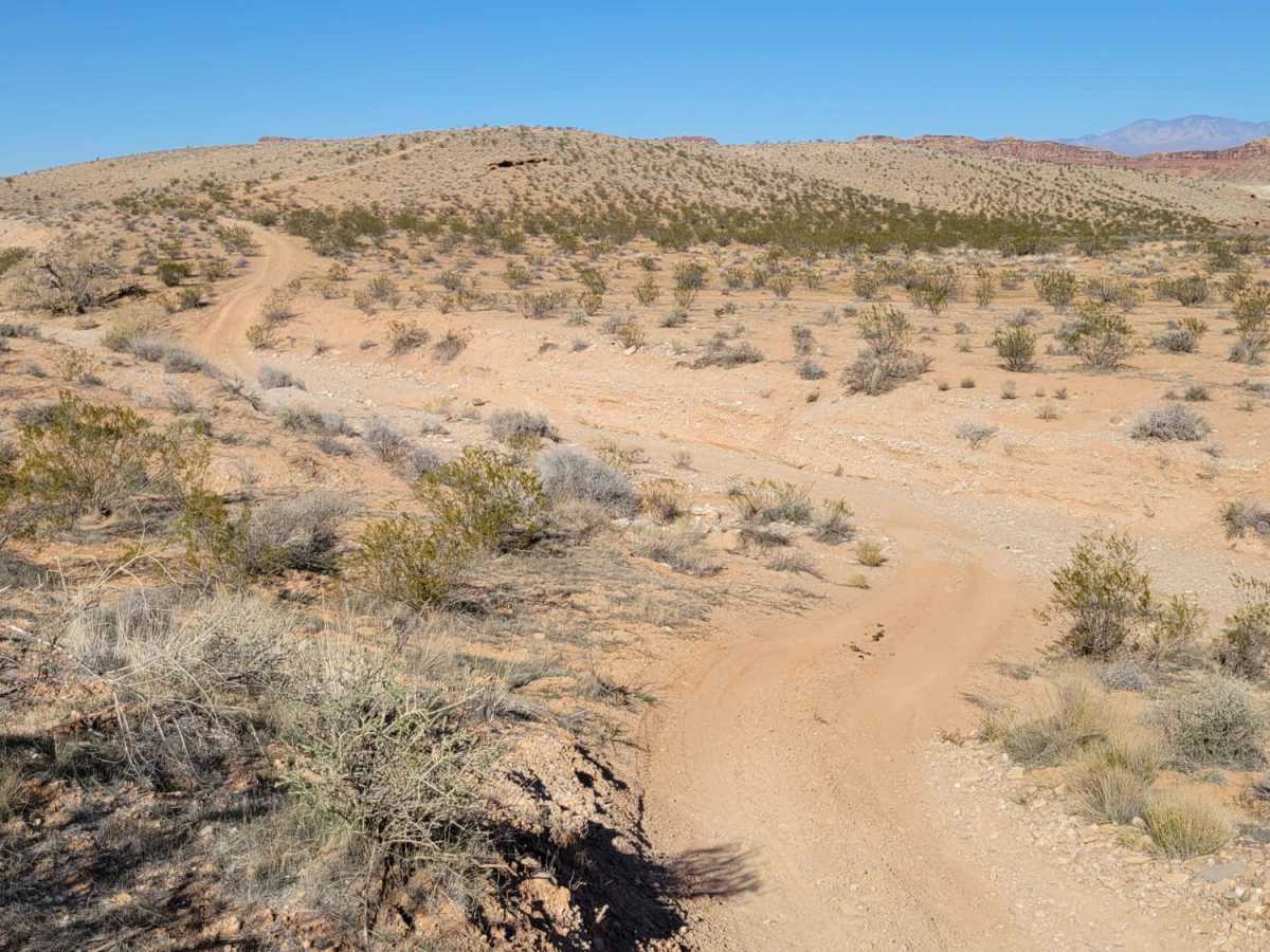 Curly Hollow Wash photo 6
