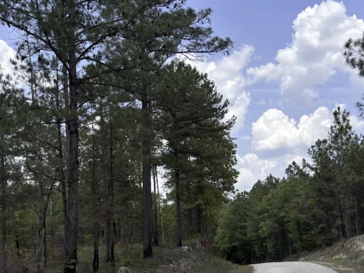 Swift Creek Road  photo 2