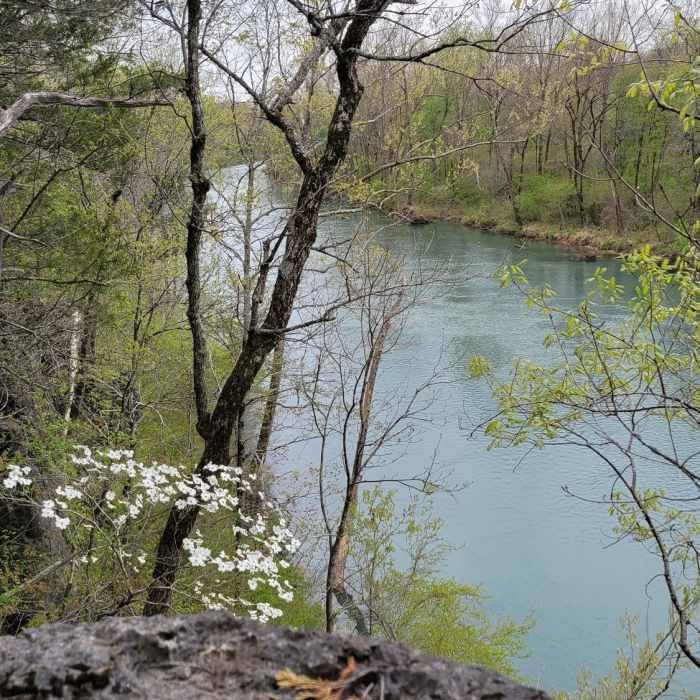 Near Whites Creek Trail