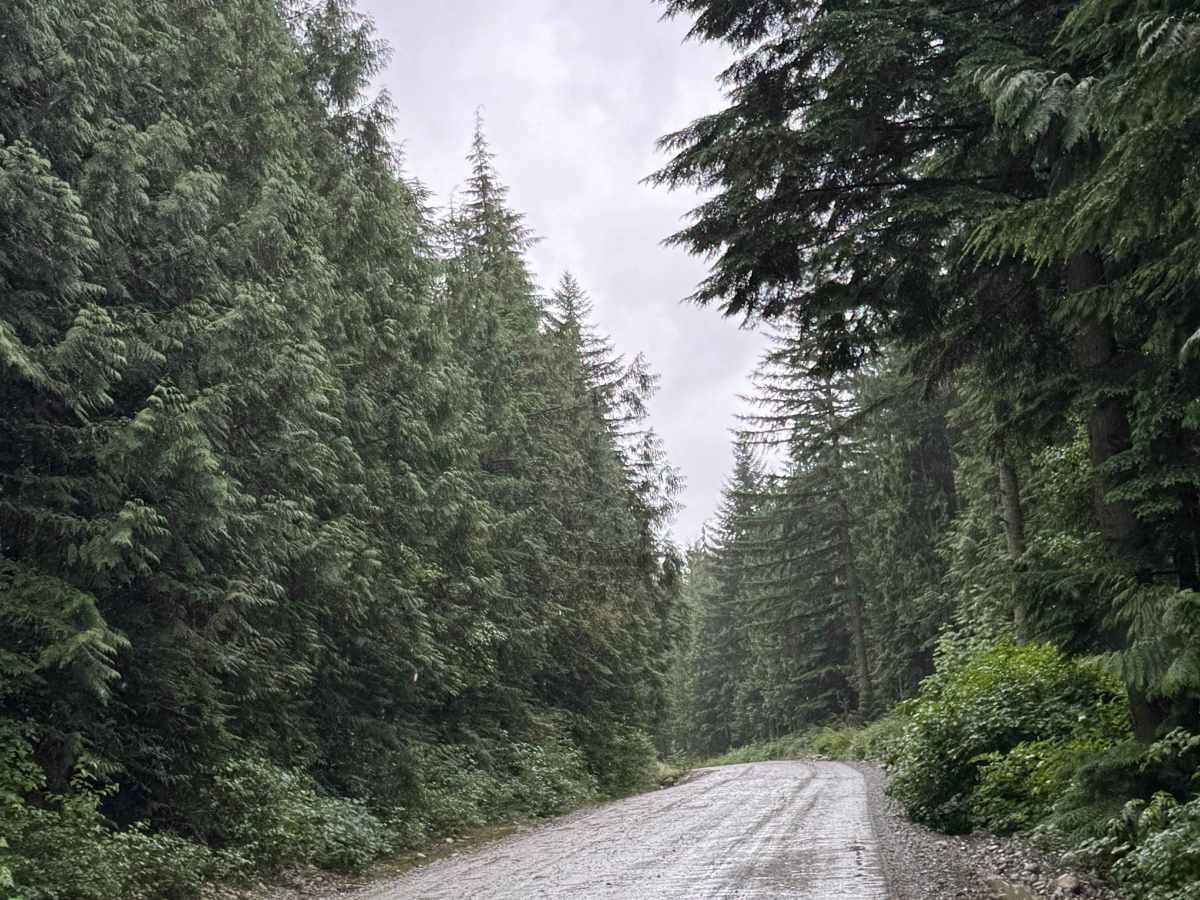Lost Creek photo 3