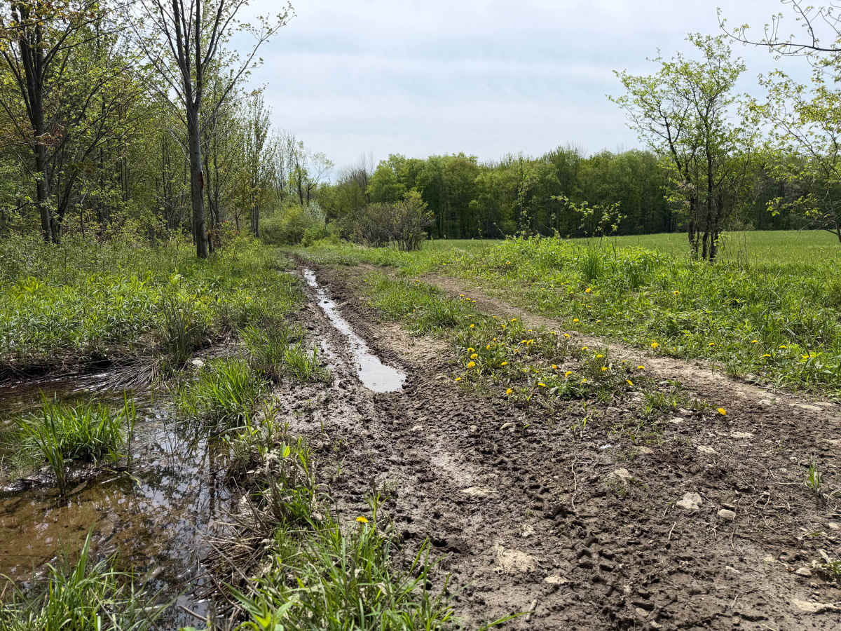 Grower Green Trail West photo 5