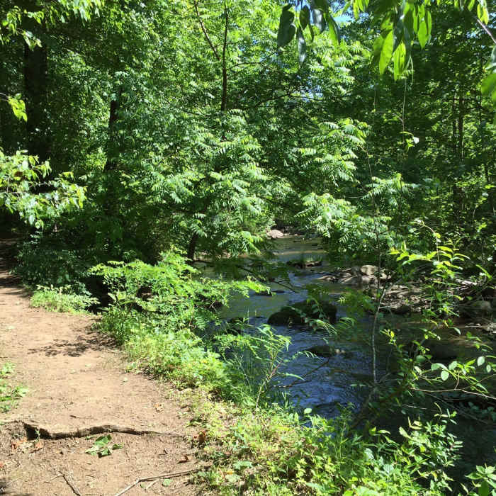 Near Bear Church Rock out and back from Graves Mill