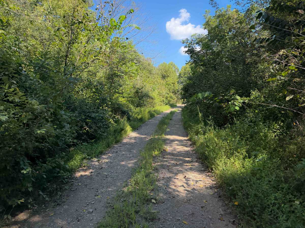 Laco Road 12   photo 6