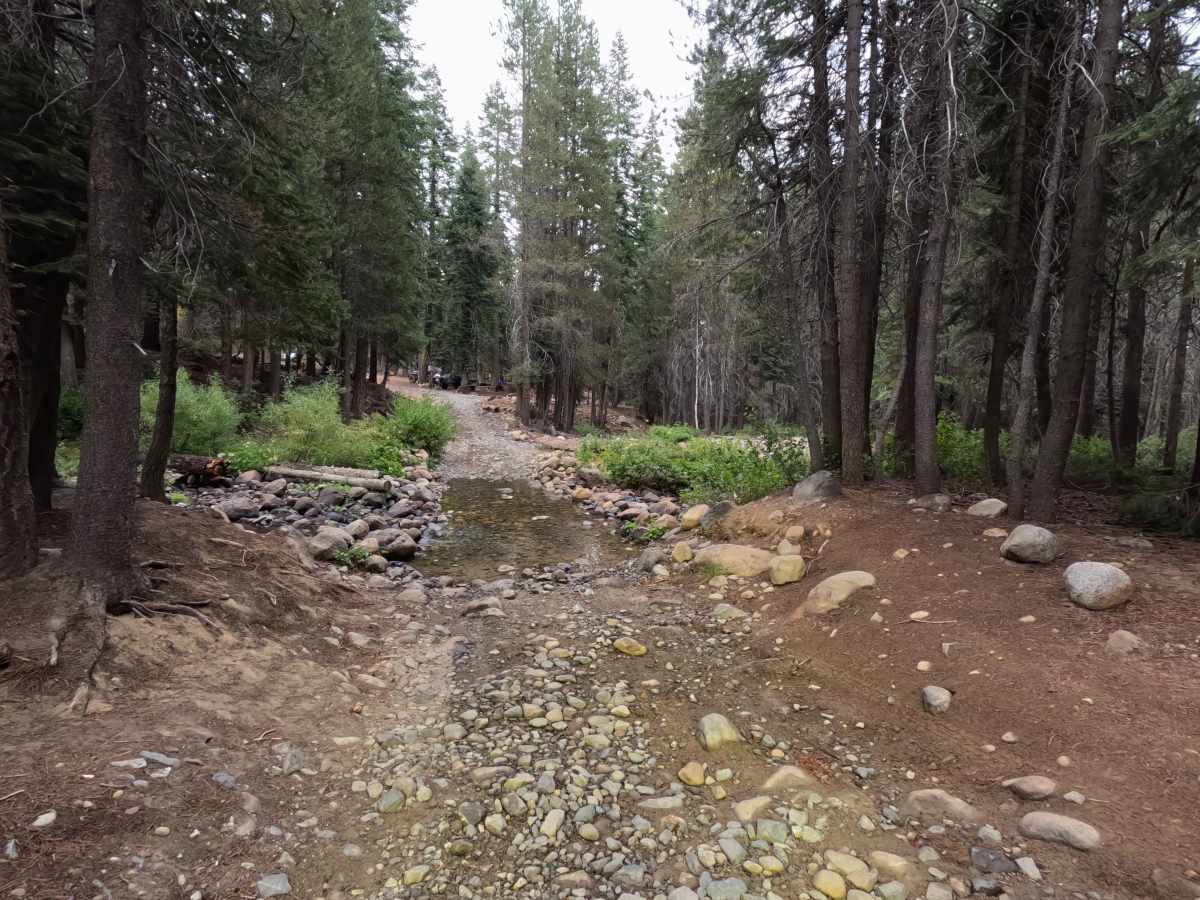 East Fork Chiquito Creek - FS 5S011 photo 2