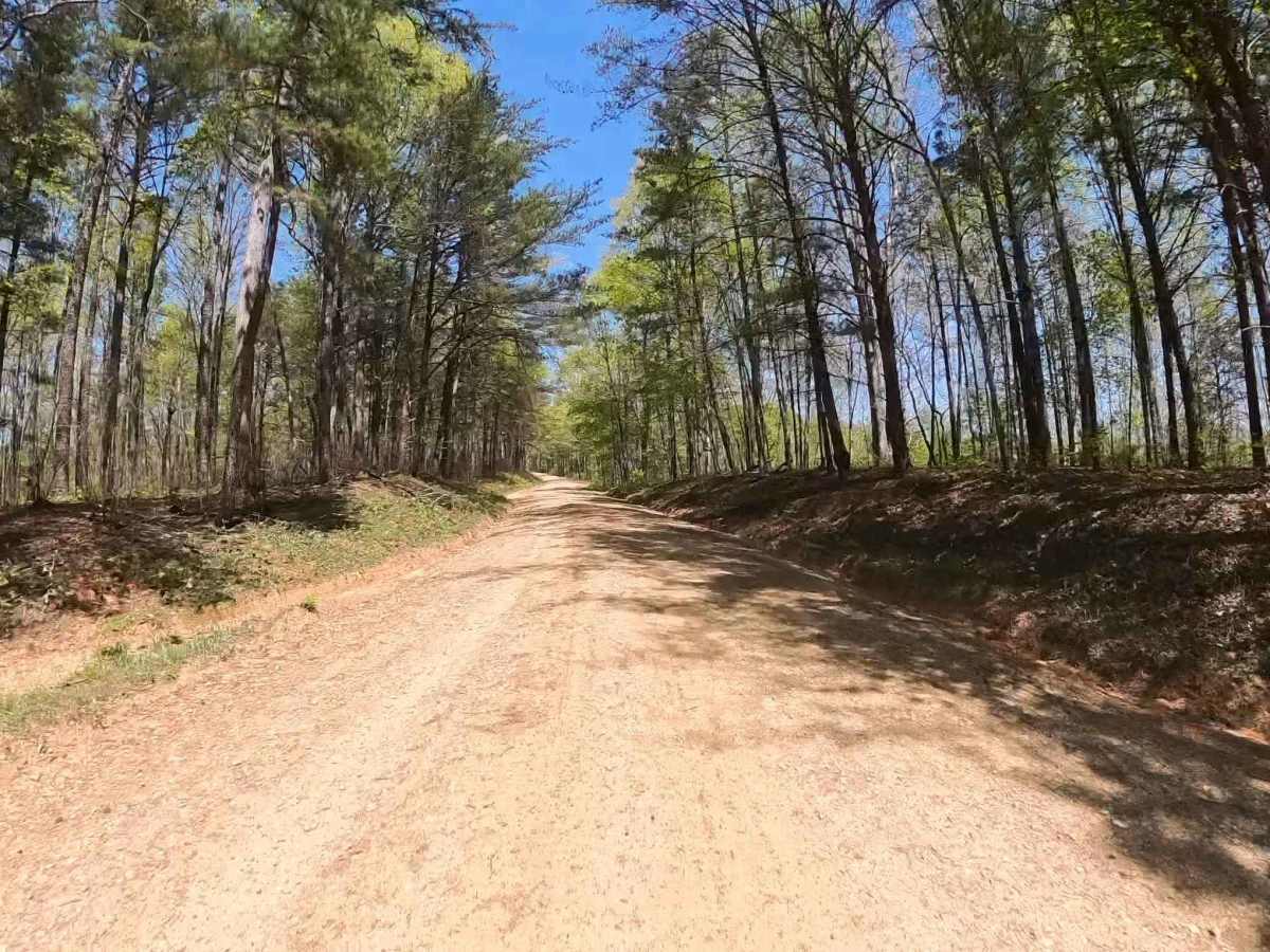 Forest Road 744C photo 2