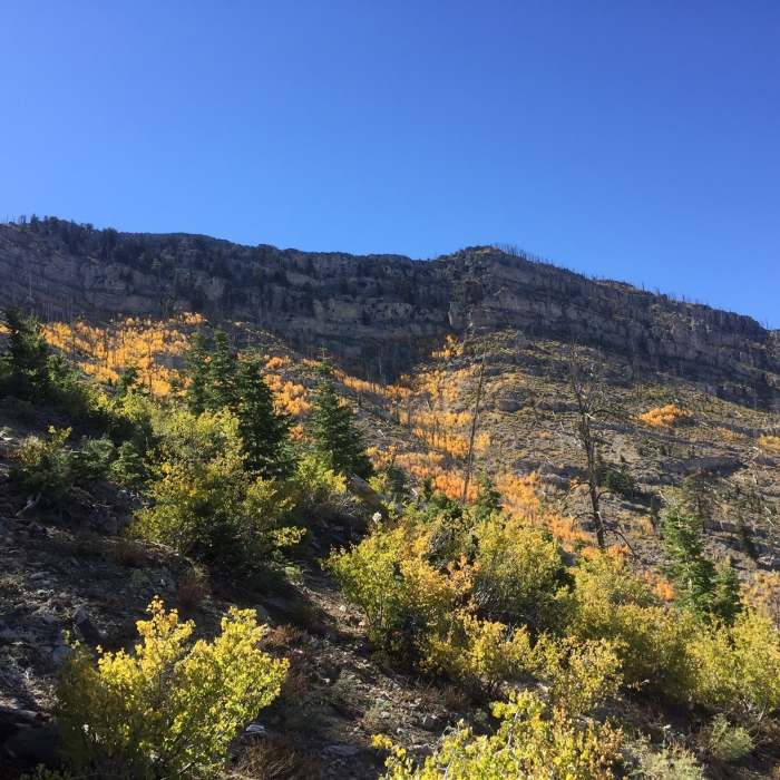 Near Bonanza Peak Out and Back