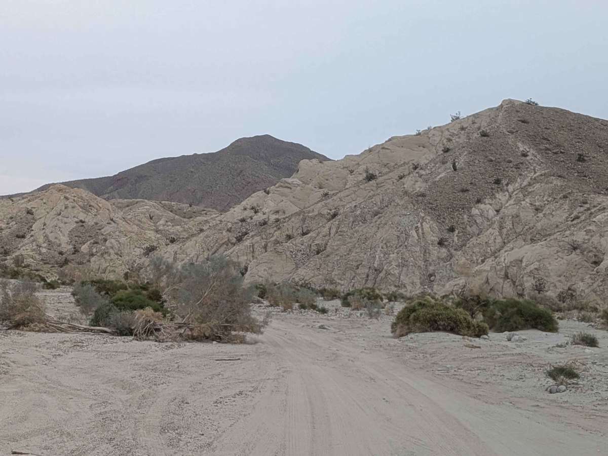 Coachwhip Canyon photo 6