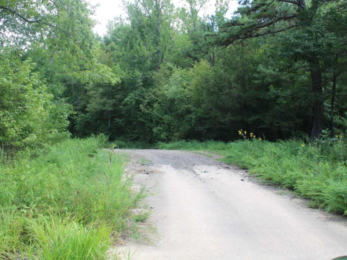 West Boundary photo 5