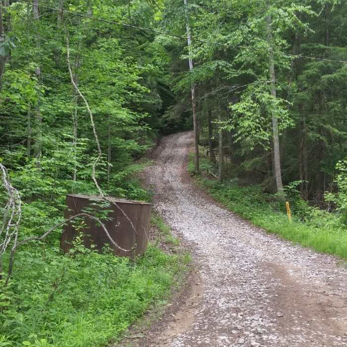 Near Flat Hollow Arch Trail