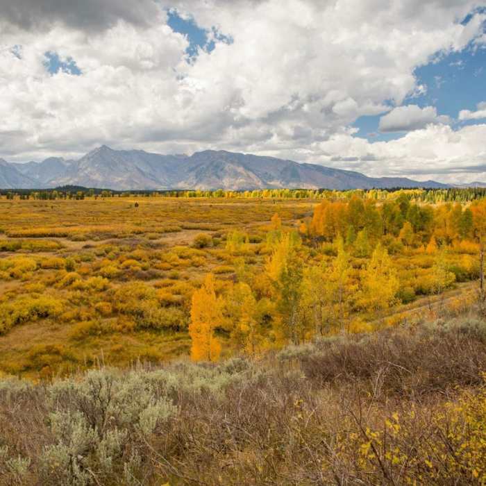 Near Lunch Tree Hill