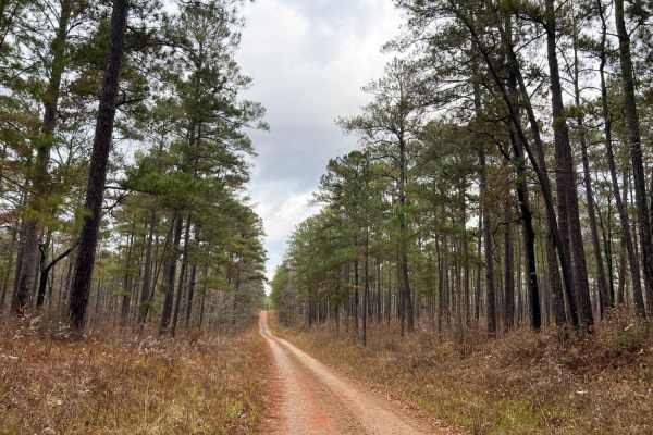 Oconee Starr