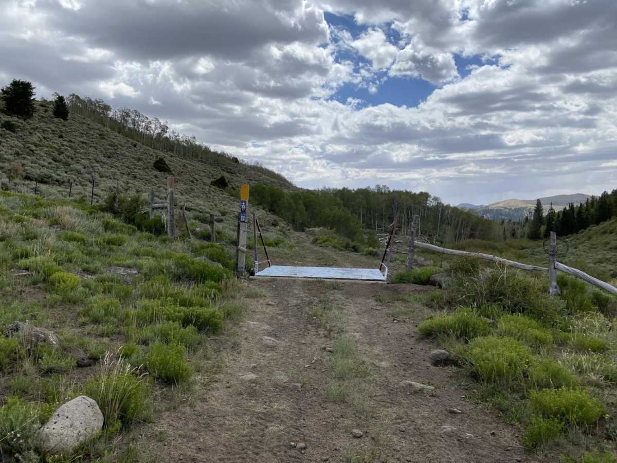 Sheep Valley-Tommy Hollow Trail photo 3
