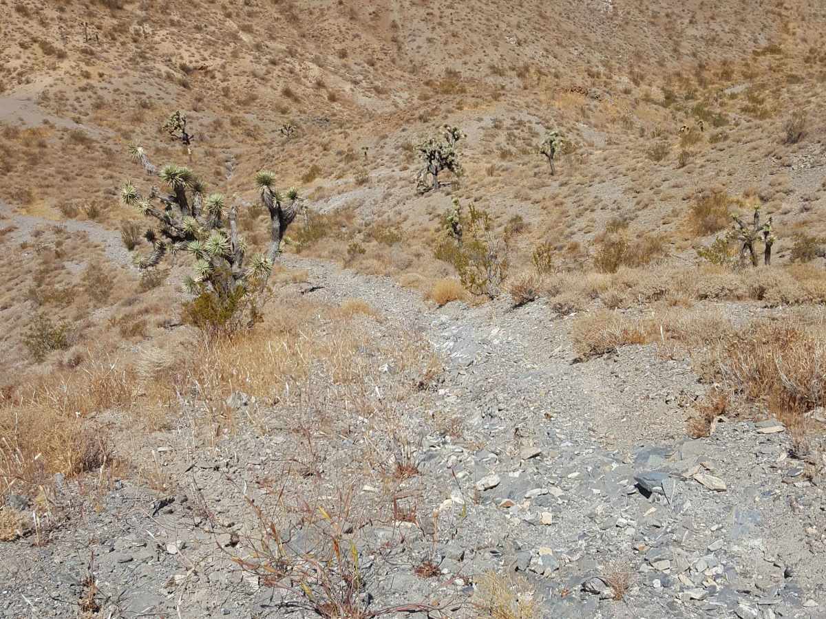 Trail 53 photo 6