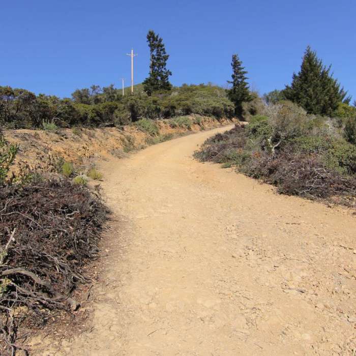 Near East Peak via Hogback + Fern Creek Trail