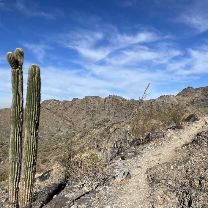 Near Piestewa Peak via Dreamy Draw