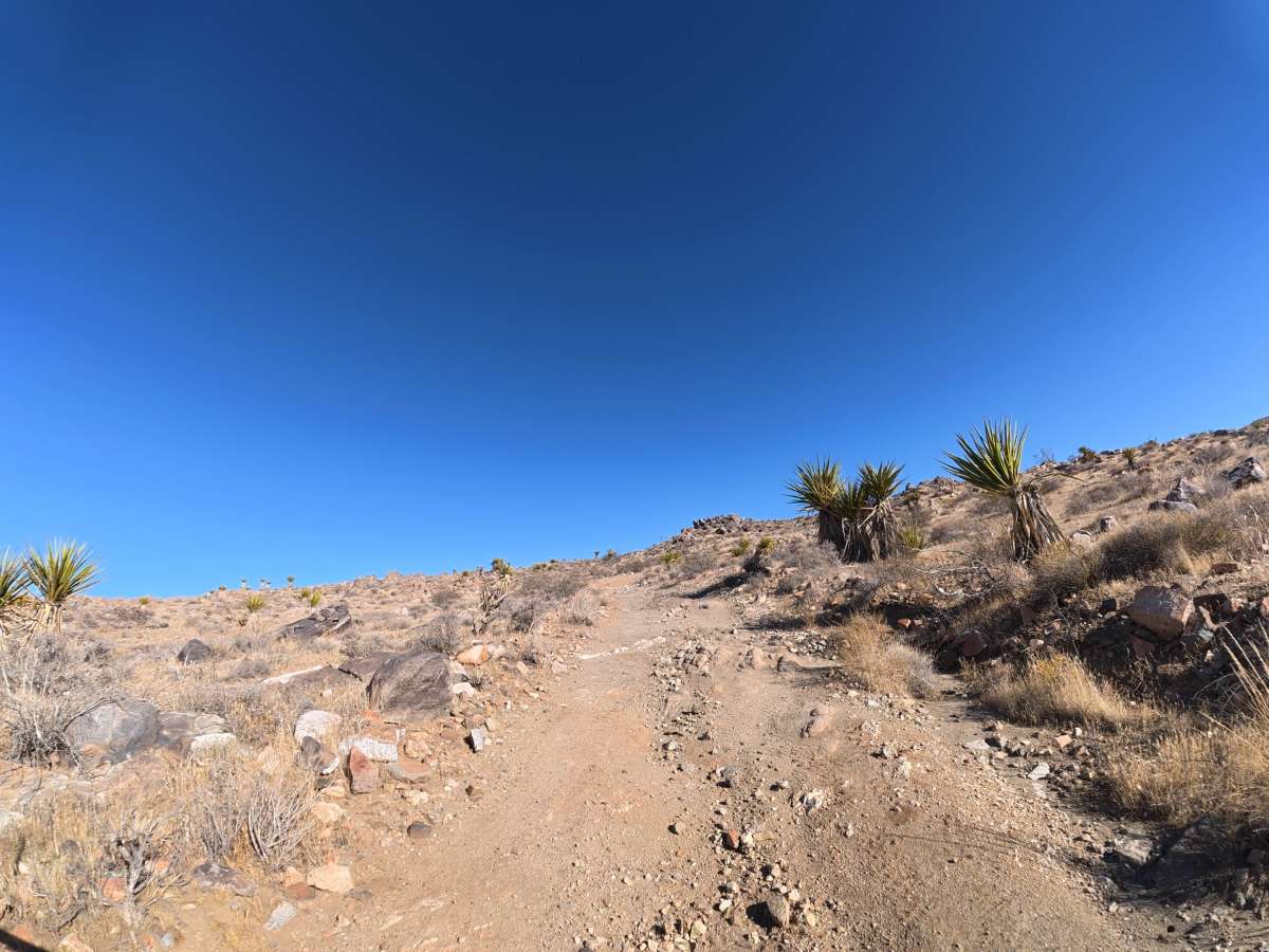 Anita Mine photo 6