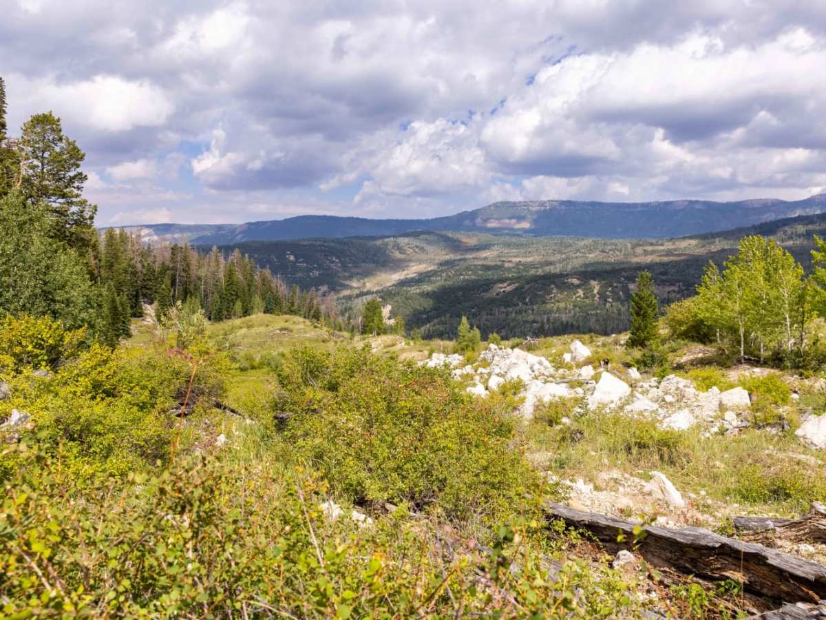 Beaver Creek - Mount Baldy photo 2