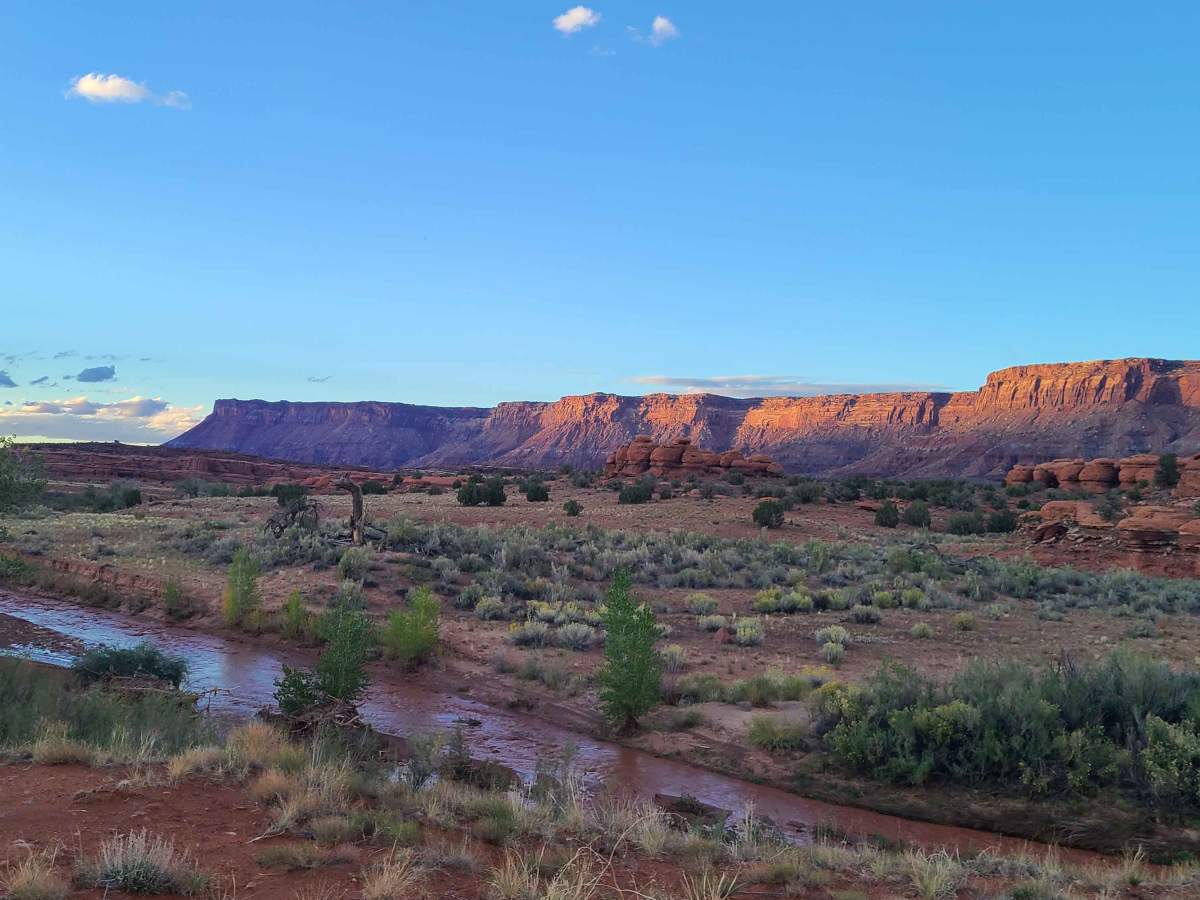 Hamburgler - BLM D1453/D1455 trail photo