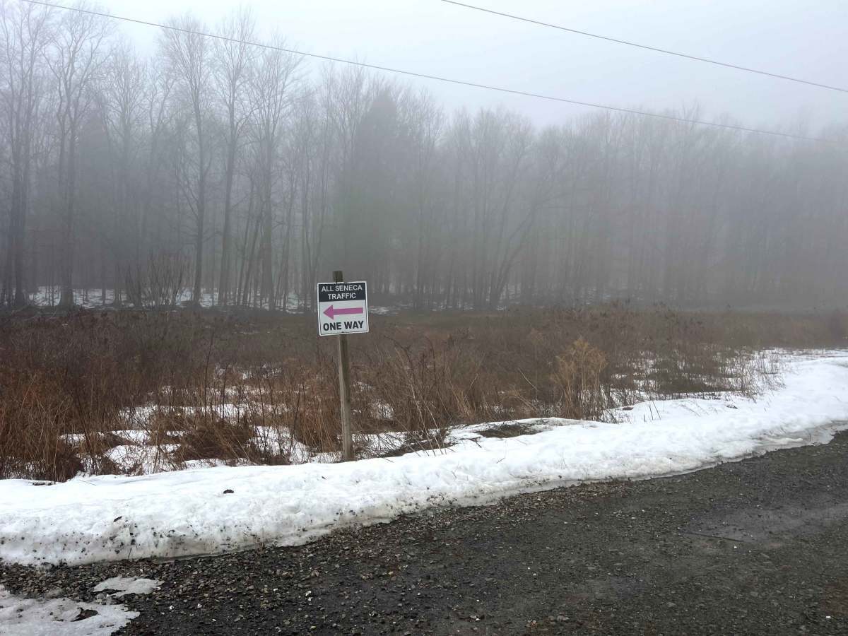 Powerline Road photo 5