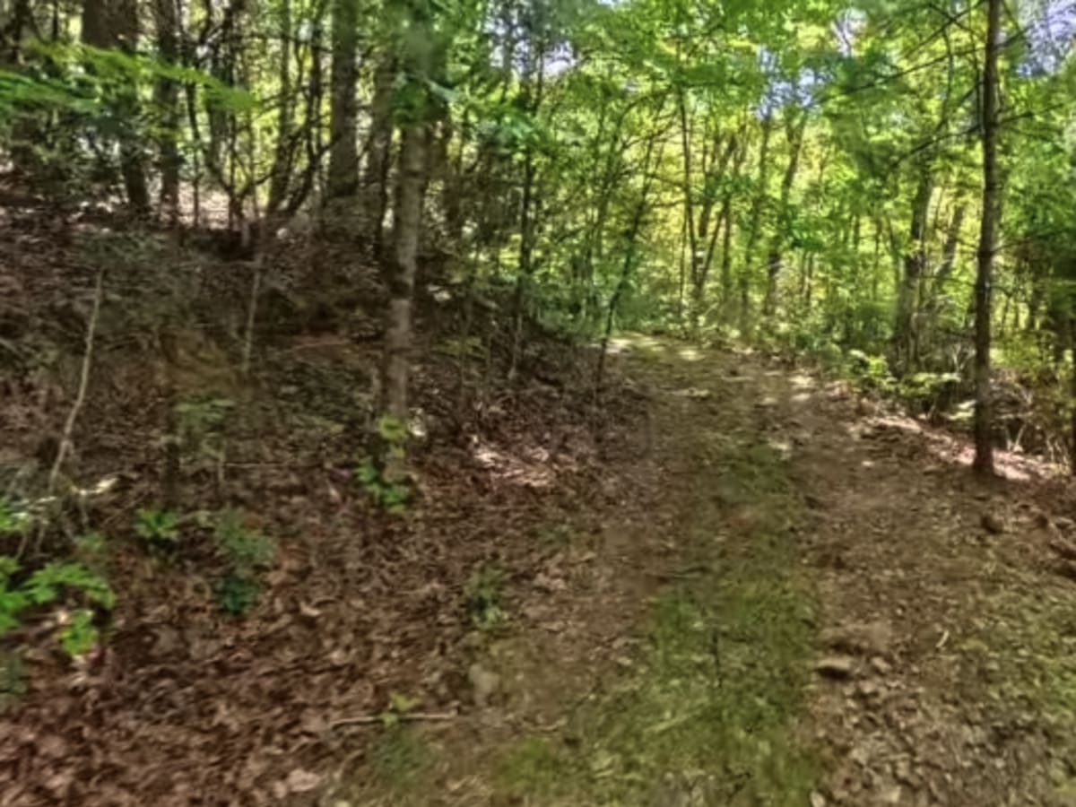 Chester Knob Upper Trail photo 5