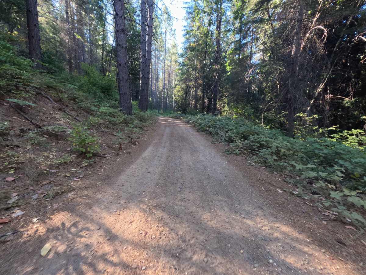 Dry Creek - FS 19N25  photo 5