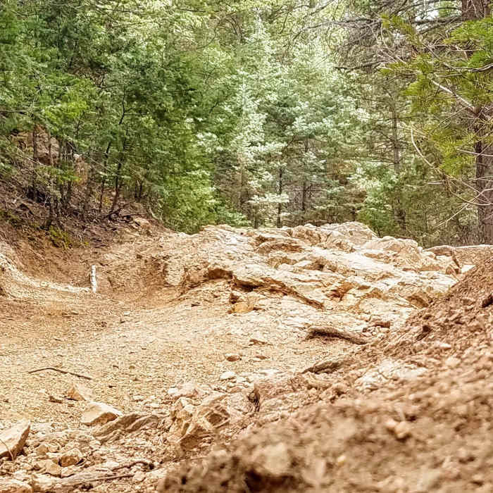 Near Section 16/Palmer Loop