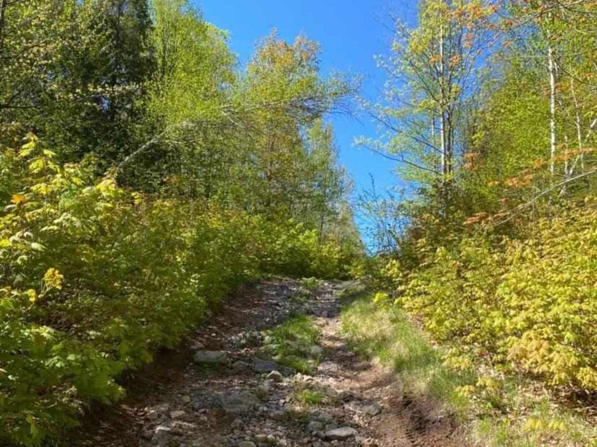 Beaver Dam Run photo 4