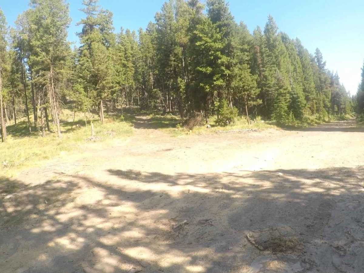 FS 313 South trail photo