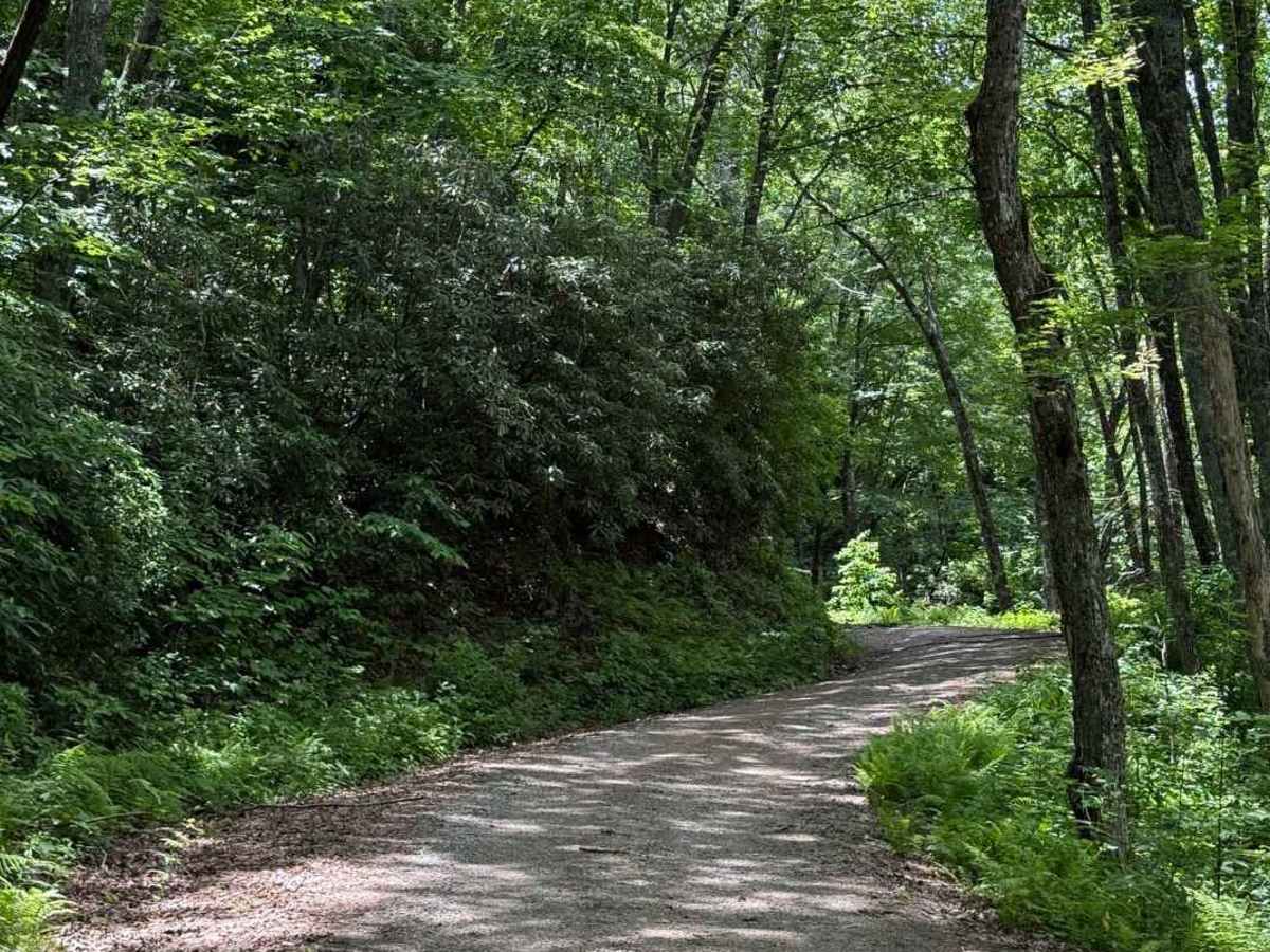 Perry Gap - FS 350 photo 4