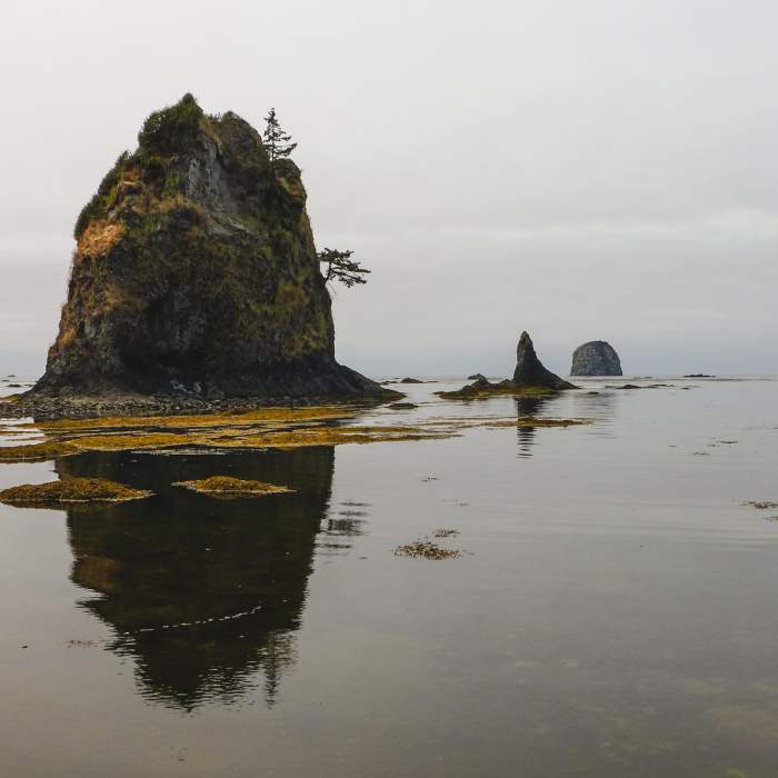 Near Ozette Triangle