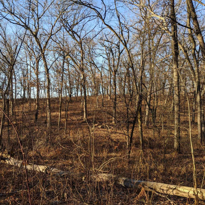 Rolling hills Near MMSD Forest Loop