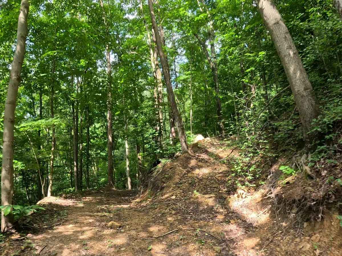 Q14B trail photo
