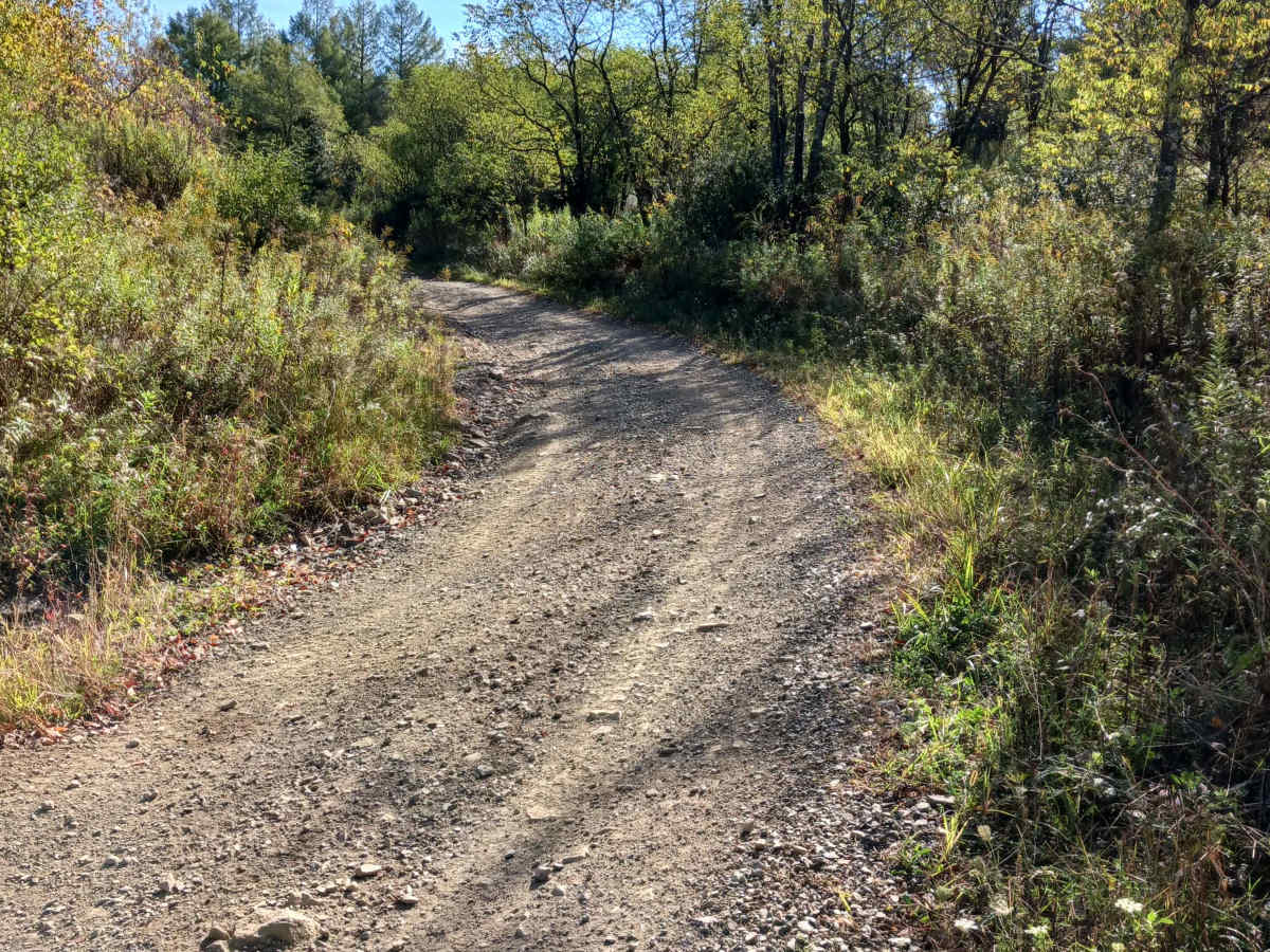 Trail 10 - Rock Run Recreation Area trail photo