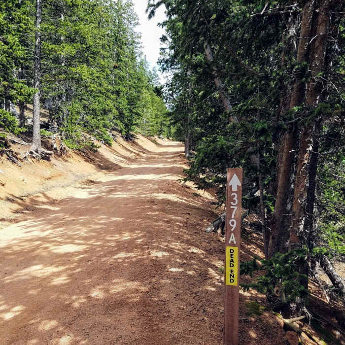 FSR 379A trailhead is at clearing, then take a hard right. Near Almagre Mountain via FSR 379