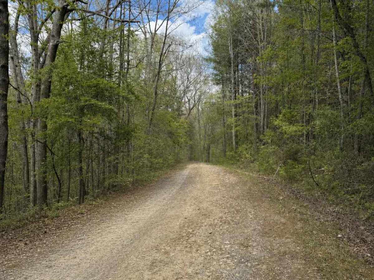 Clayton Mill Road photo 3