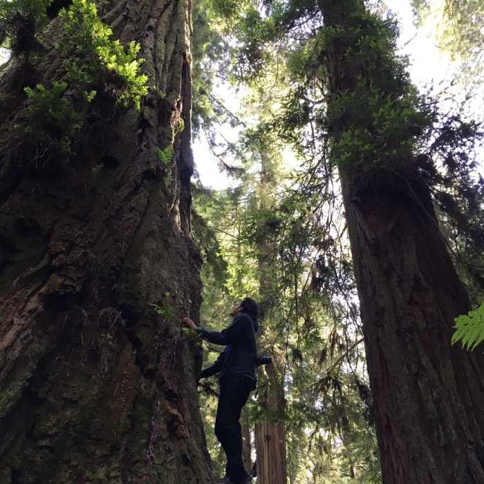 Near Simpson-Reed Trail