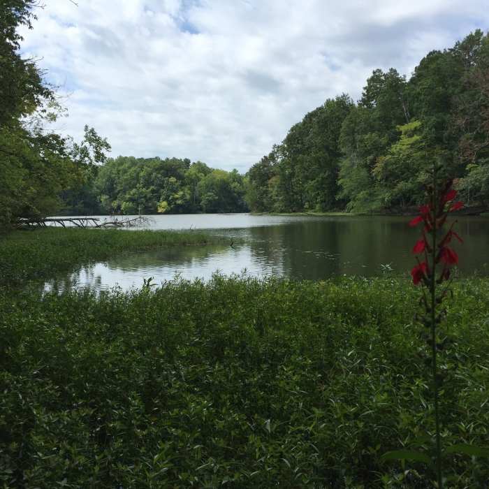 Near Bill Faver Lakeshore Loop