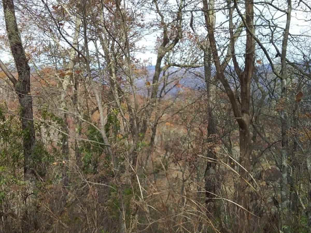 Cowee Bald photo 3
