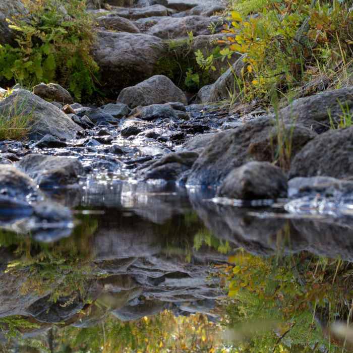 Near Bear Basin + Seven Up Pass