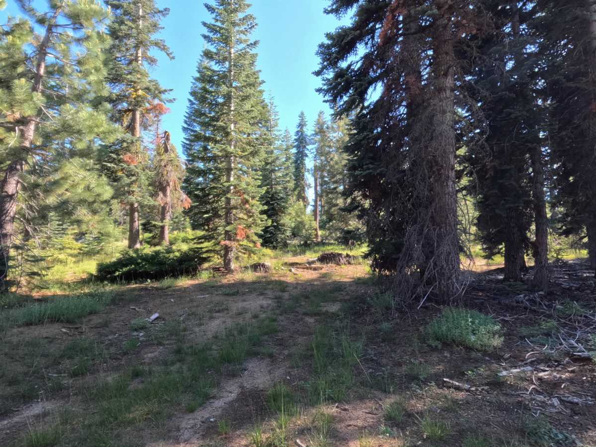 Silver Meadow West - FS 11N37GW photo 3