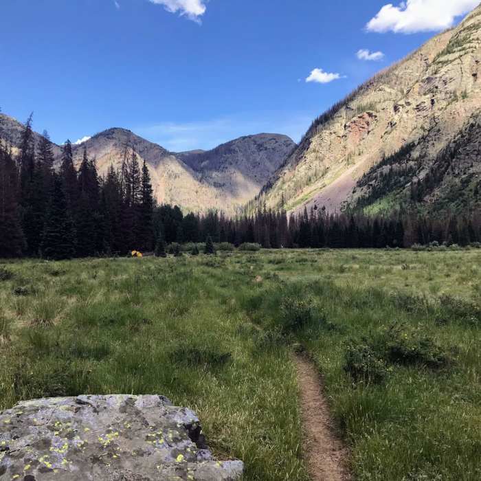 Near Elk Creek Trail #503 (via Molas Pass)