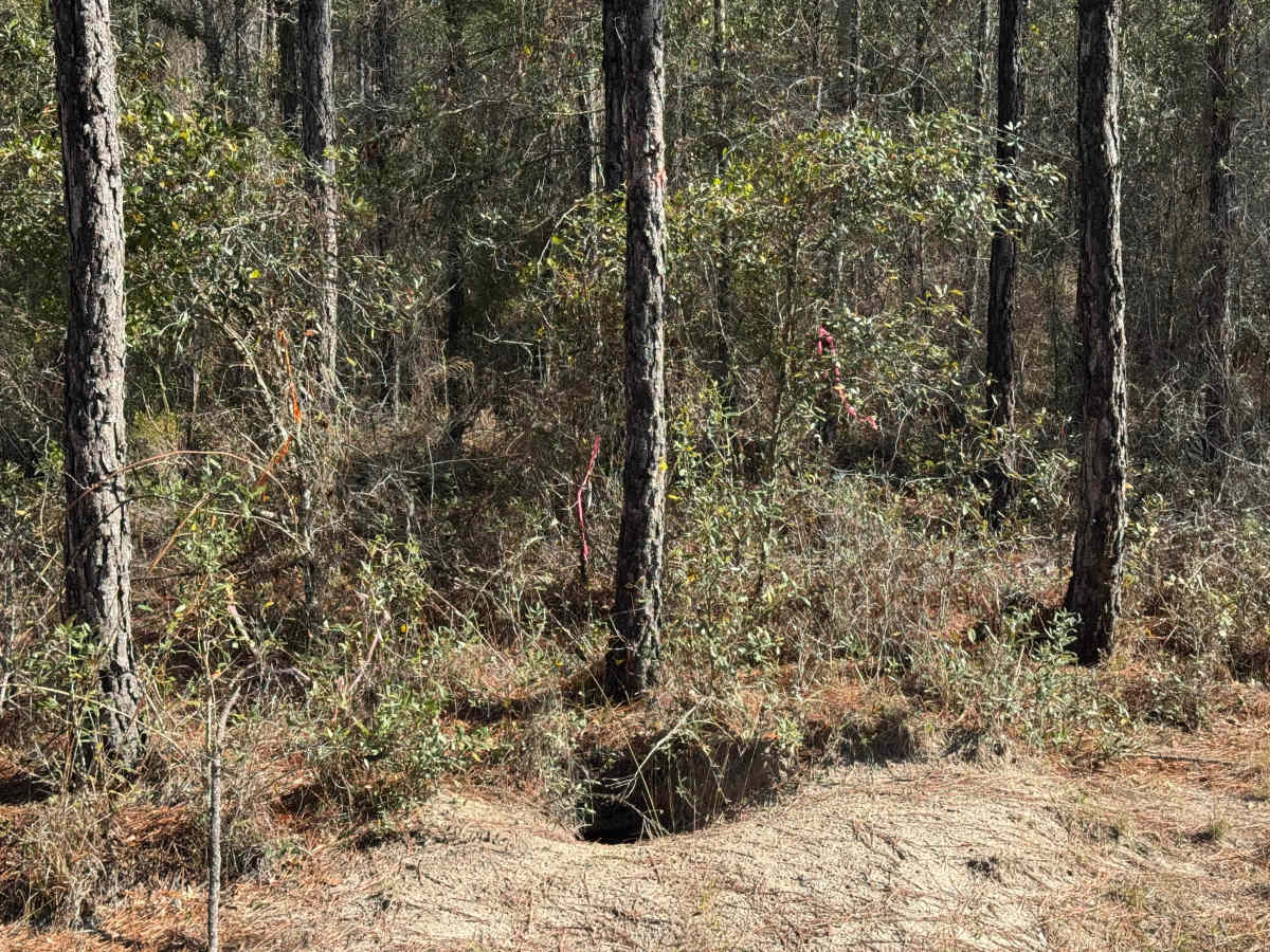 Clay Hill Road photo 2